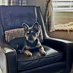 Pinfold Cottage, Dog Friendly Yorkshire Coast & Countryside Сasa de vacaciones Hunmanby