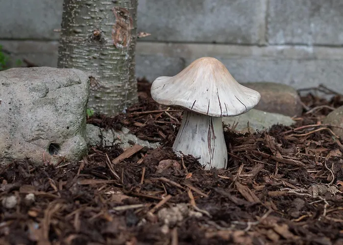 Pinfold Cottage, Dog Friendly Yorkshire Coast & Countryside Holiday home *