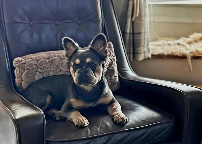 Pinfold Cottage, Dog Friendly Yorkshire Coast & Countryside Holiday home Hunmanby